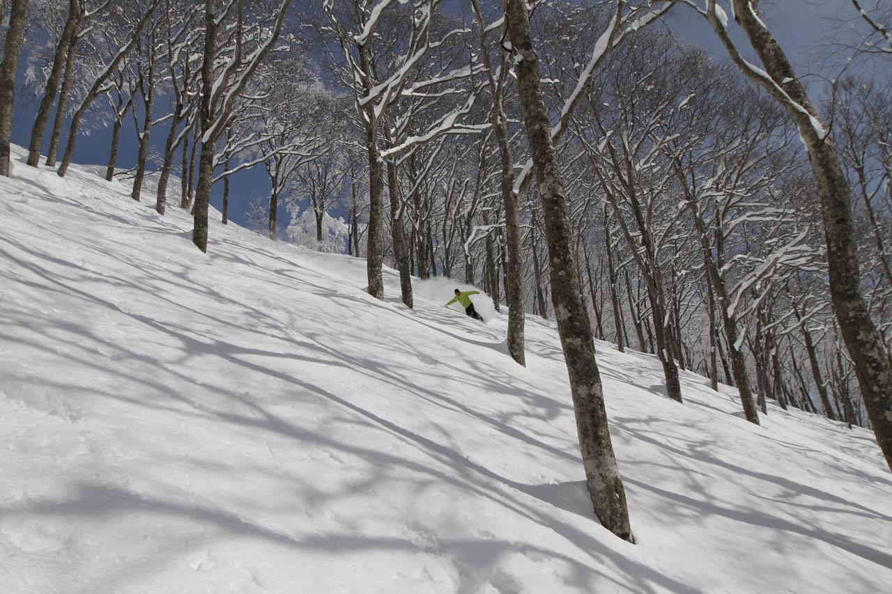 Powder Temple Hotel Hakuba Exterior foto