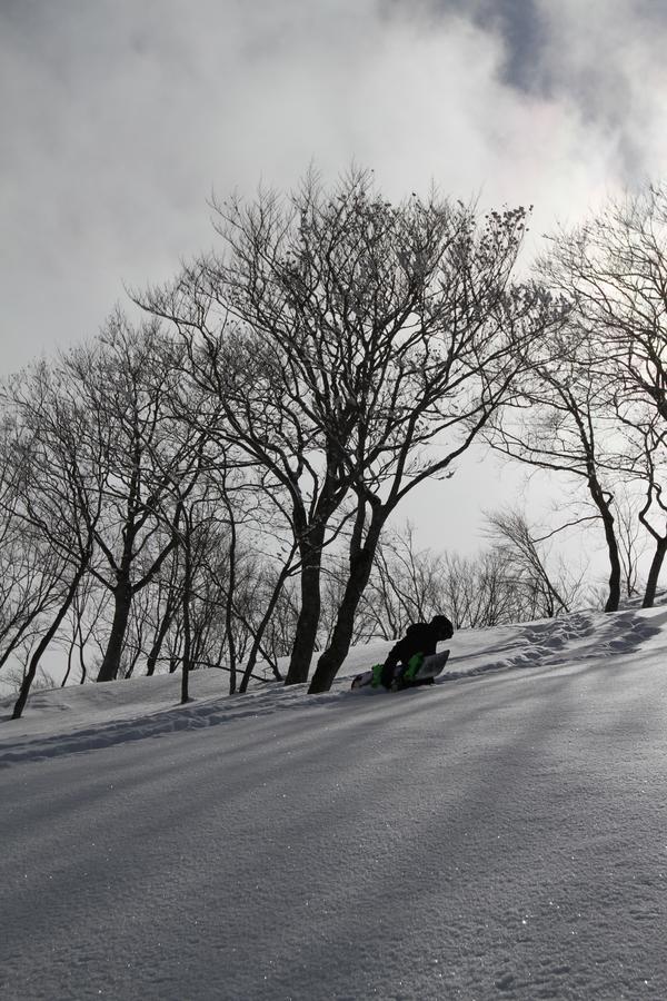 Powder Temple Hotel Hakuba Exterior foto